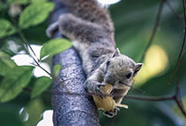 免费ddos在线攻击测试网站